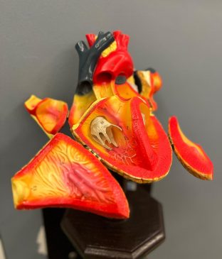 centro-cardiologia-catania-05